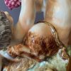 Groupe de putti Capodimonte