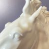 Tête de cheval de Meissen