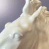 Tête de cheval de Meissen