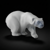 Ours polaire de Knud Kyhn