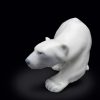 Ours polaire de Knud Kyhn